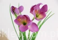 00007529_Easy-Resize.com.jpg