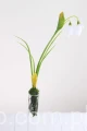 00007530-min_Easy-Resize.com.jpg