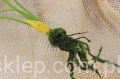 00007533-min_Easy-Resize.com.jpg