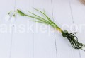 00007534-min_Easy-Resize.com.jpg