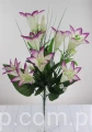 00007538_Easy-Resize.com.jpg