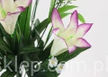 00007539_Easy-Resize.com.jpg