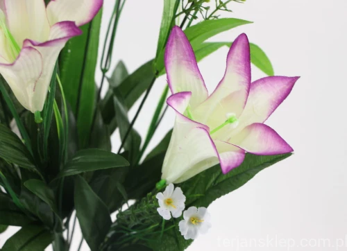 00007539_Easy-Resize.com.jpg