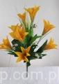 00007545_Easy-Resize.com.jpg