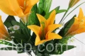 00007546_Easy-Resize.com.jpg