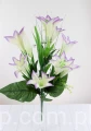 00007547_Easy-Resize.com.jpg