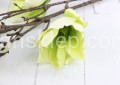 00007554_Easy-Resize.com.jpg