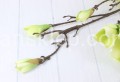 00007556_Easy-Resize.com.jpg
