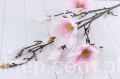 00007565_Easy-Resize.com.jpg