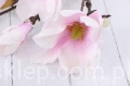 00007566_Easy-Resize.com.jpg