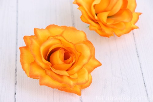 00007605_Easy-Resize.com.jpg