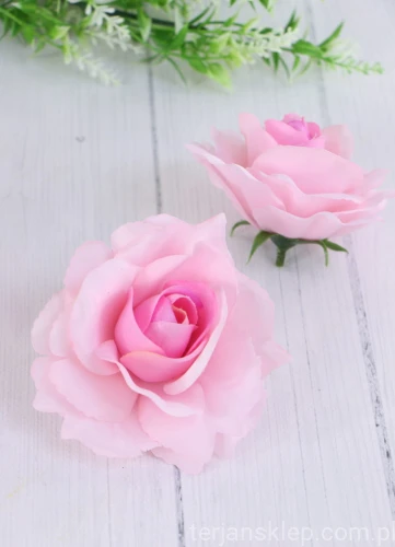 00007606_Easy-Resize.com.jpg