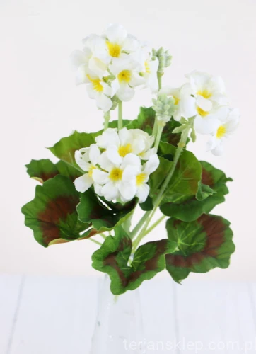 00007615_Easy-Resize.com.jpg