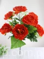 00007646_Easy-Resize.com.jpg