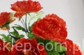 00007647_Easy-Resize.com.jpg
