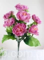 00007648_Easy-Resize.com.jpg