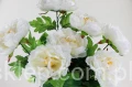 00007654_Easy-Resize.com.jpg