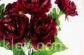 00007656_Easy-Resize.com.jpg