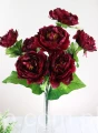 00007657_Easy-Resize.com.jpg