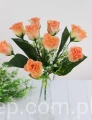 00007642_Easy-Resize.com.jpg