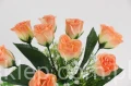 00007643_Easy-Resize.com.jpg