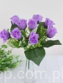 00007644_Easy-Resize.com.jpg