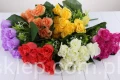 00007633_Easy-Resize.com.jpg