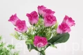 00007635_Easy-Resize.com.jpg