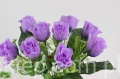 00007645_Easy-Resize.com.jpg