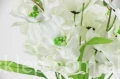 00007660_Easy-Resize.com.jpg