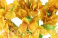 00007662_Easy-Resize.com.jpg