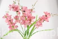 00007665_Easy-Resize.com.jpg