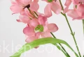 00007667_Easy-Resize.com.jpg