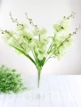 00007668_Easy-Resize.com.jpg