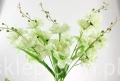 00007669_Easy-Resize.com.jpg