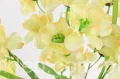 00007674_Easy-Resize.com.jpg