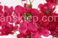 00007676_Easy-Resize.com.jpg