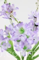 00007678_Easy-Resize.com.jpg