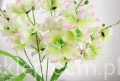 00007679_Easy-Resize.com.jpg