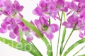 00007682_Easy-Resize.com.jpg