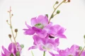 00007683_Easy-Resize.com.jpg