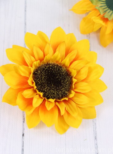 00007684_Easy-Resize.com.jpg