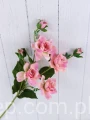 00007689_Easy-Resize.com.jpg