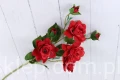 00007691_Easy-Resize.com.jpg
