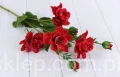 00007692_Easy-Resize.com.jpg