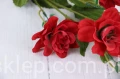 00007693_Easy-Resize.com.jpg