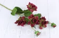 00007694_Easy-Resize.com.jpg