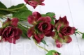 00007695_Easy-Resize.com.jpg