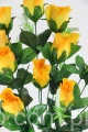 00007751.JPG