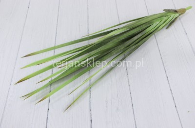 Liście ananasa - bukiet F2137